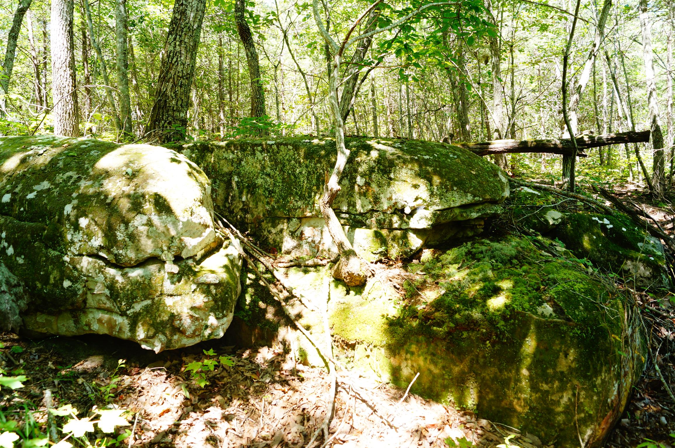 1102 Ridge Rd Spring Crossville, TN 38572 - Photo 28 of 29 Rock Formations