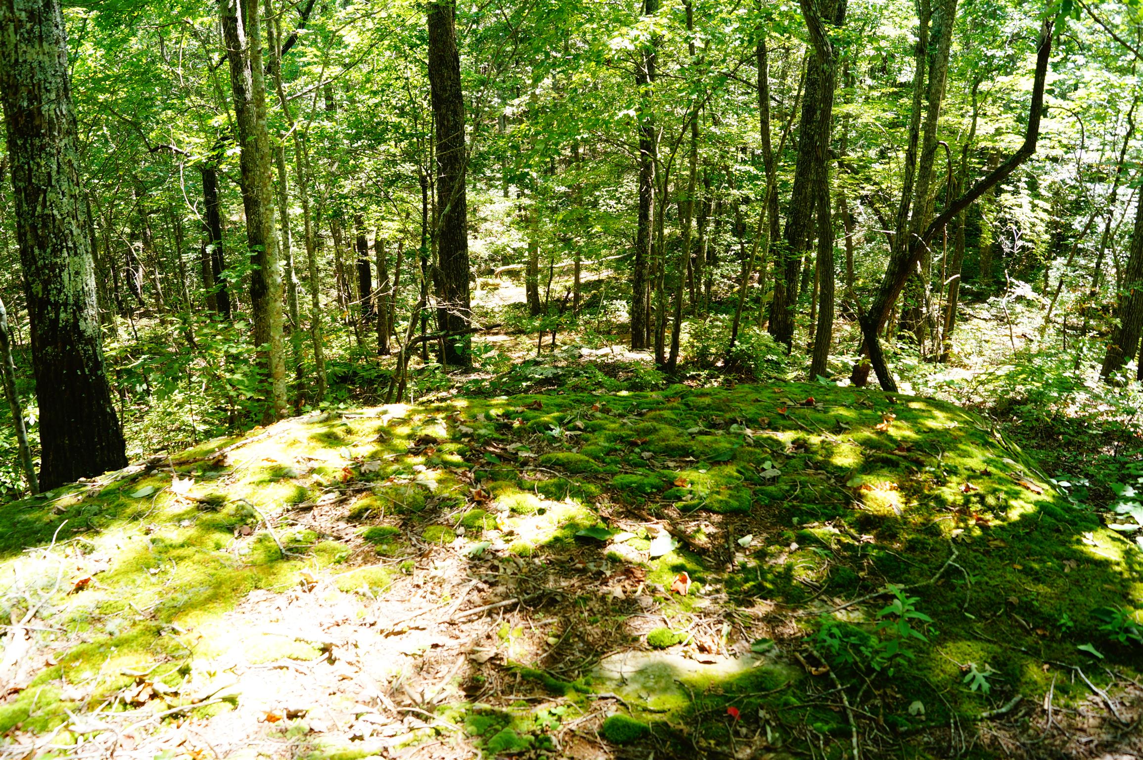 1102 Ridge Rd Spring Crossville, TN 38572 - Photo 29 of 29 Rock Formations