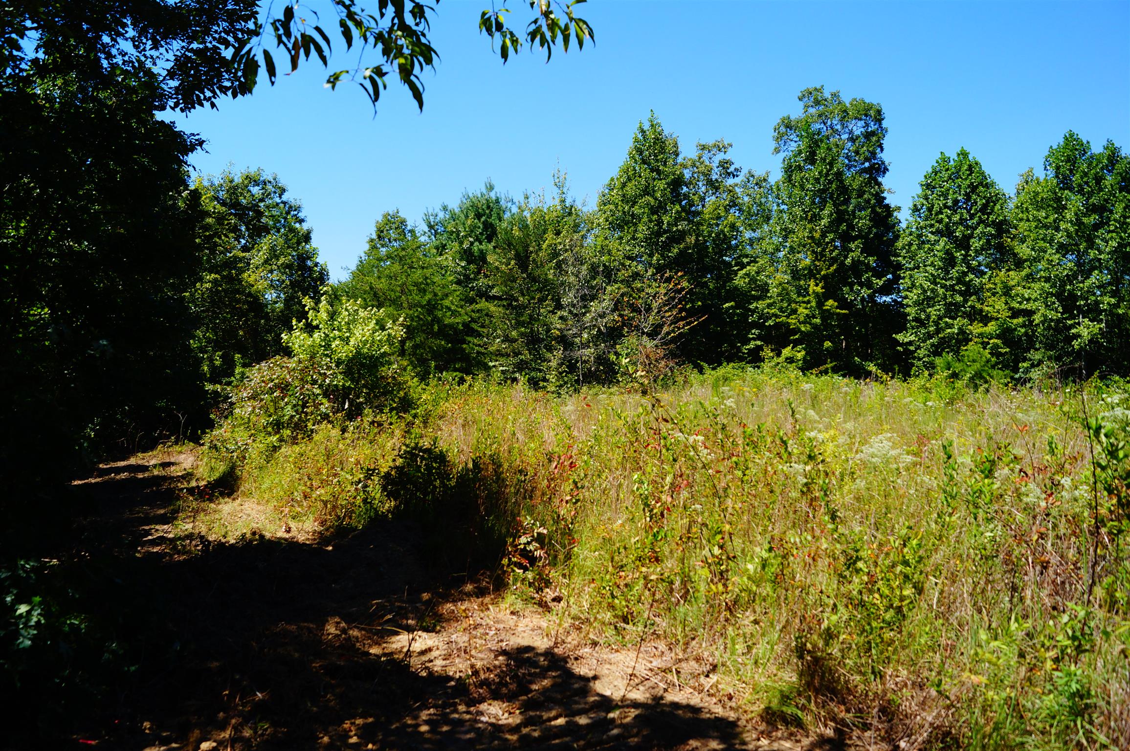 1102 Ridge Rd Spring Crossville, TN 38572 - Photo 6 of 29 Small Field