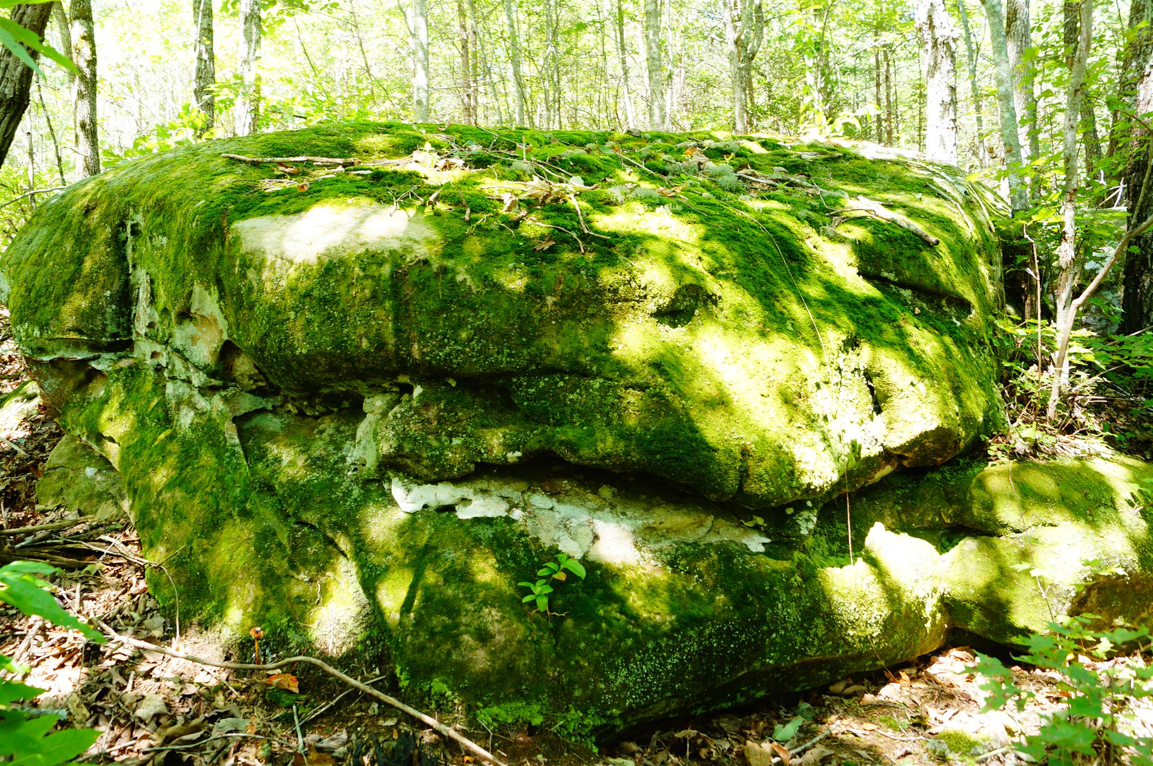 1102 Ridge Rd Spring Crossville, TN 38572 - Photo 7 of 29 Rock Formations