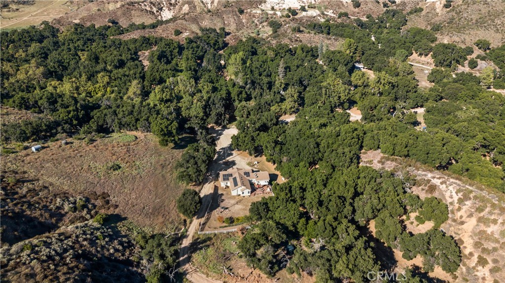 31053 Hasley Canyon Road Castaic, CA 91384 - Photo 34 of 50 a view of a tree