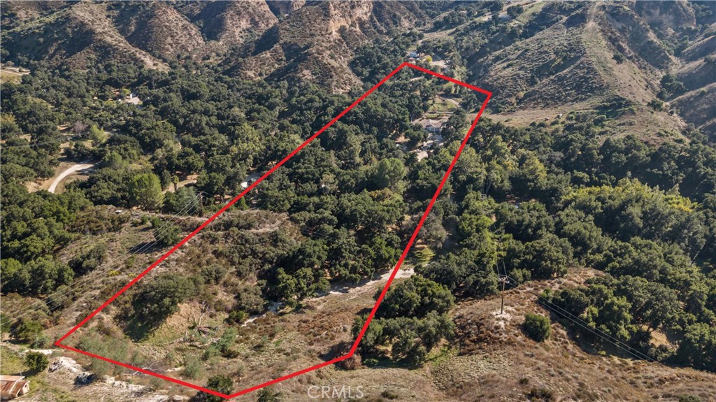 31053 Hasley Canyon Road Castaic, CA 91384 - Photo 4 of 50 a picture of a tree with a flower garden