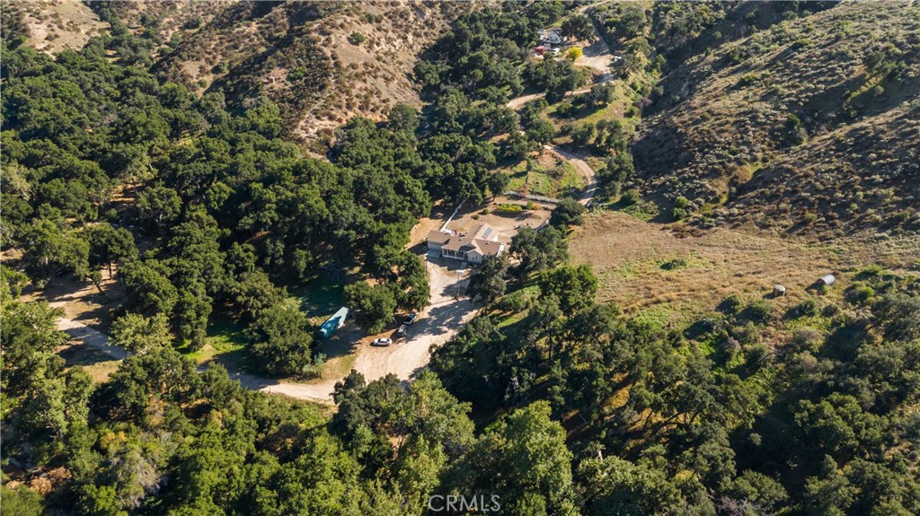 31053 Hasley Canyon Road Castaic, CA 91384 - Photo 41 of 50 a view of a tree