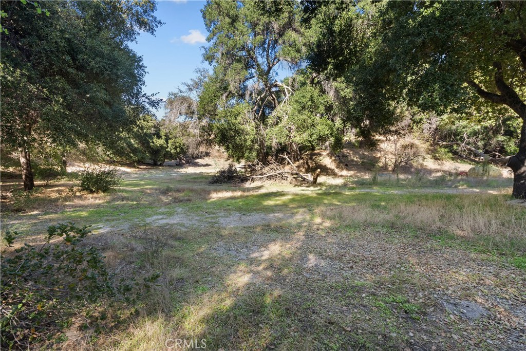 31053 Hasley Canyon Road Castaic, CA 91384 - Photo 47 of 50 a view of outdoor space with trees all around