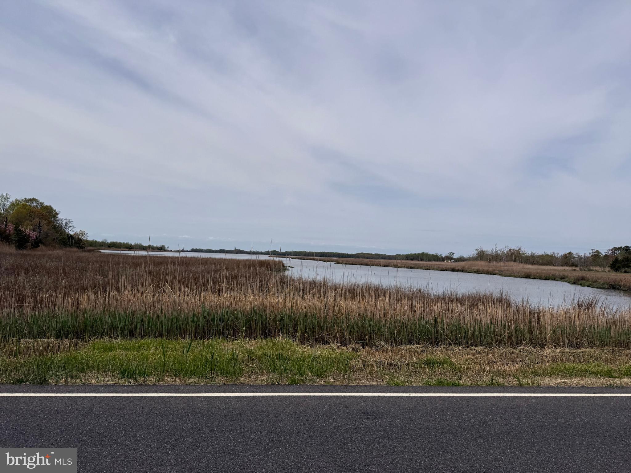 303 Baptist Road Newport, NJ 08345 - Photo 39 of 42 a view of a lake
