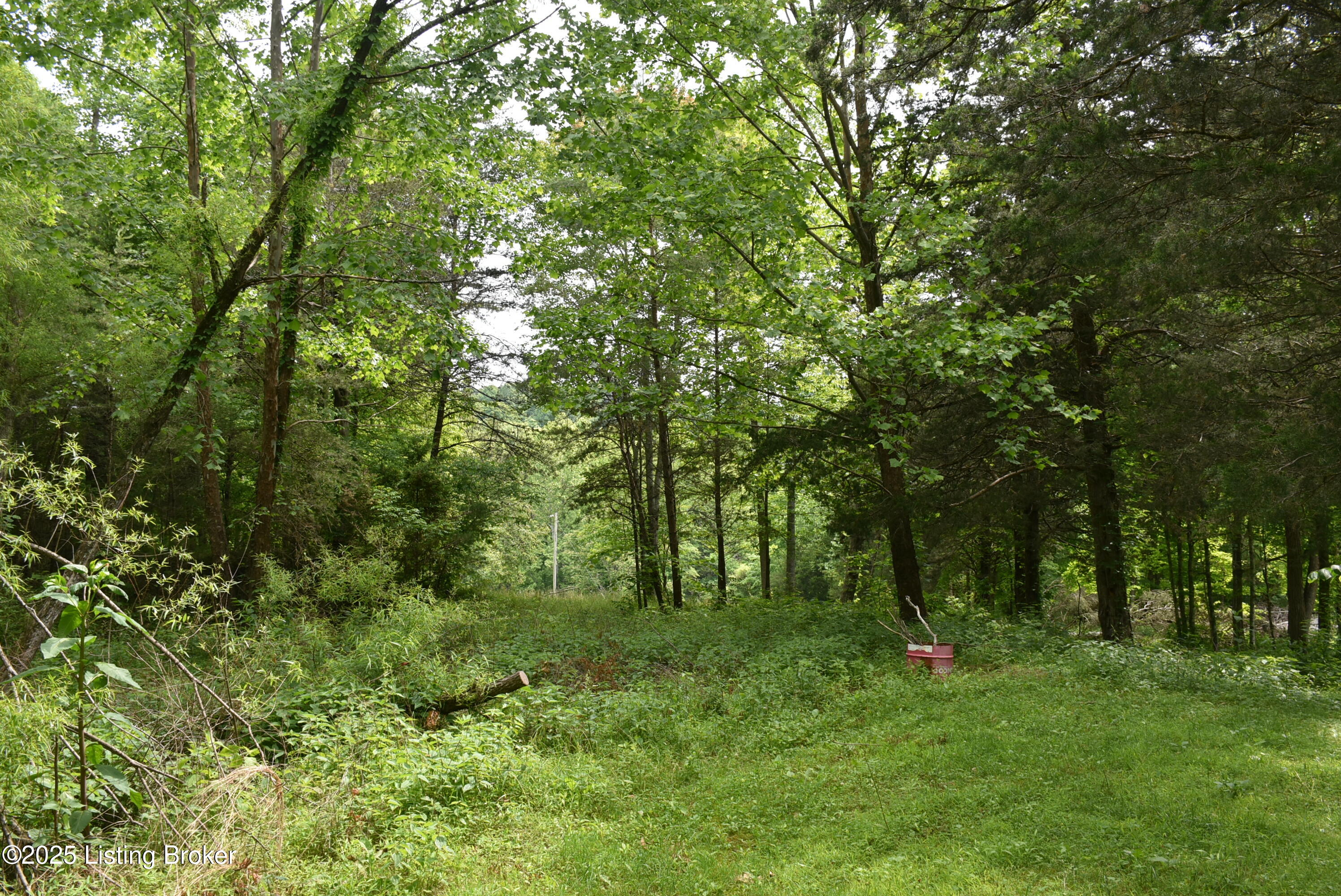 3015 Chestnut Grove Road Columbia, KY 42728 - Photo 18 of 37 DSC_9209