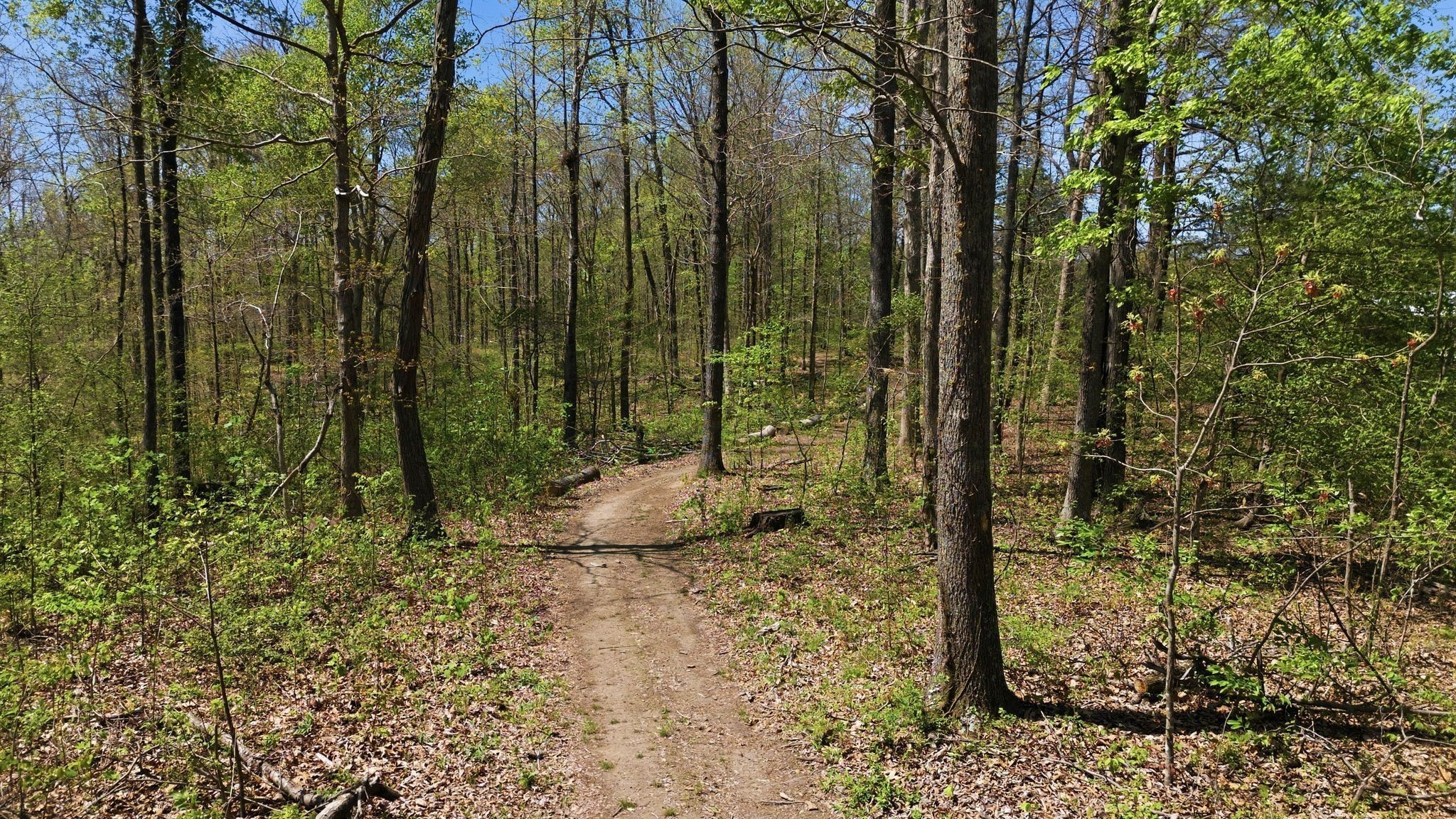 1043 Murphy Hollow Road Vanleer, TN 37181 - Photo 65 of 68