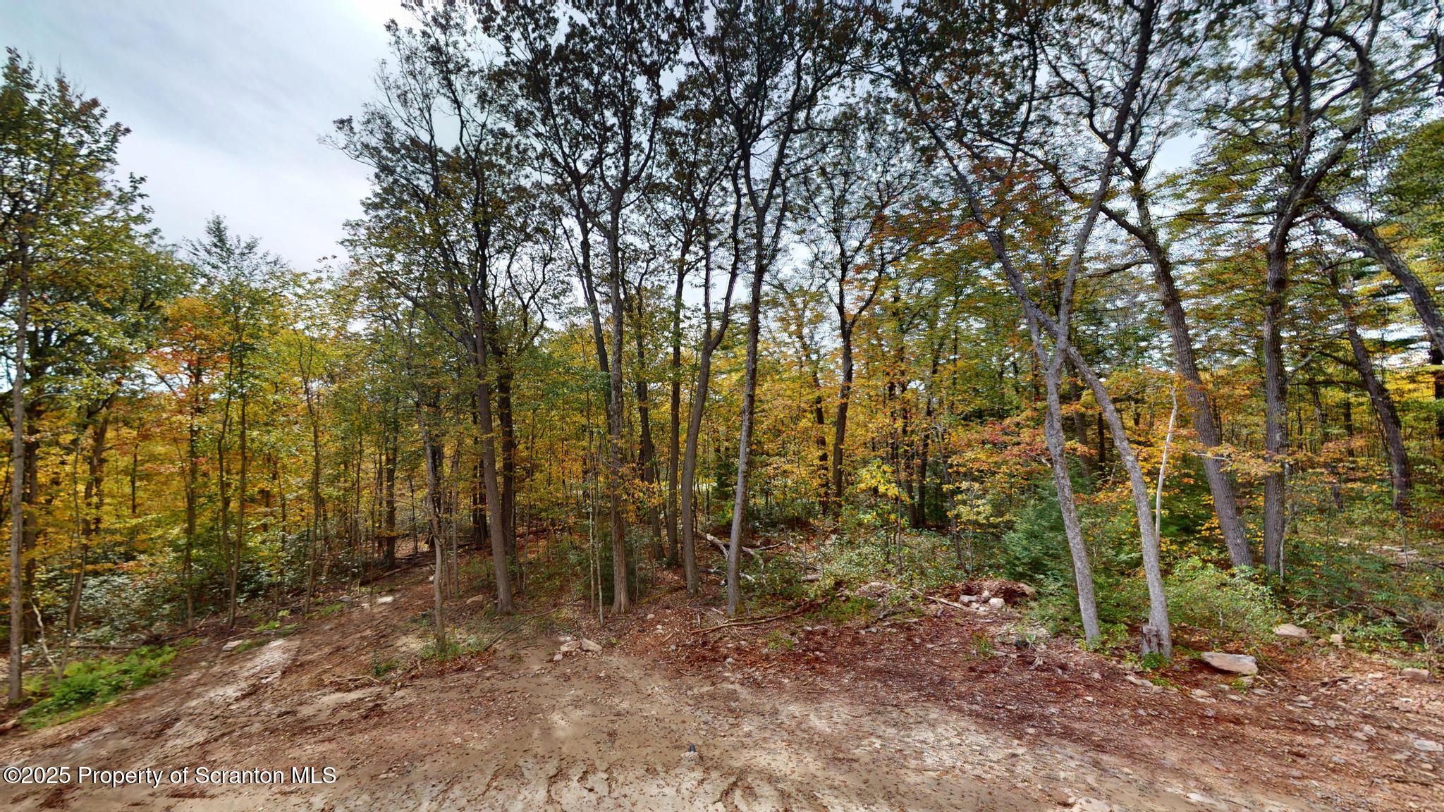 99 Woodland Drive Lake Ariel, PA 18436 - Photo 24 of 124 View from Deck