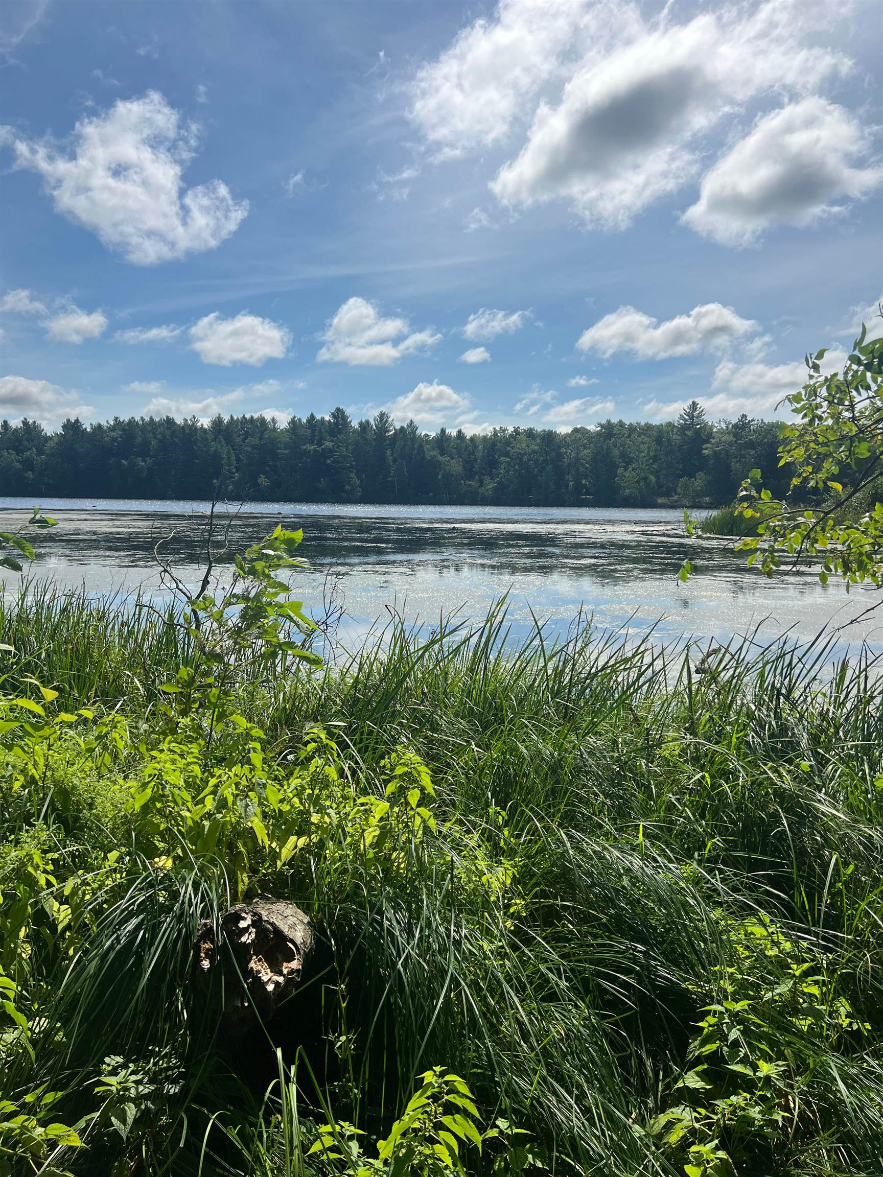 W9532 Schroeder Lane Crivitz, WI 54114 - Photo 16 of 17