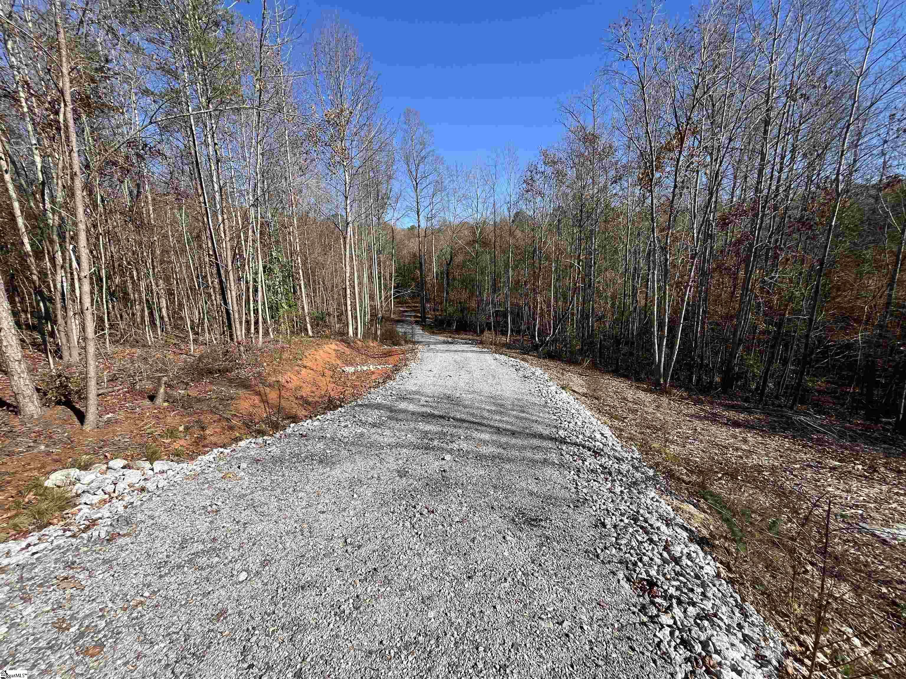 Old Dunham Bridge Road Greenville, SC 29611 - Photo 11 of 12