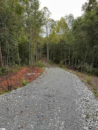 $1,262,250 | Old Dunham Bridge Road, Greenville, SC 29611