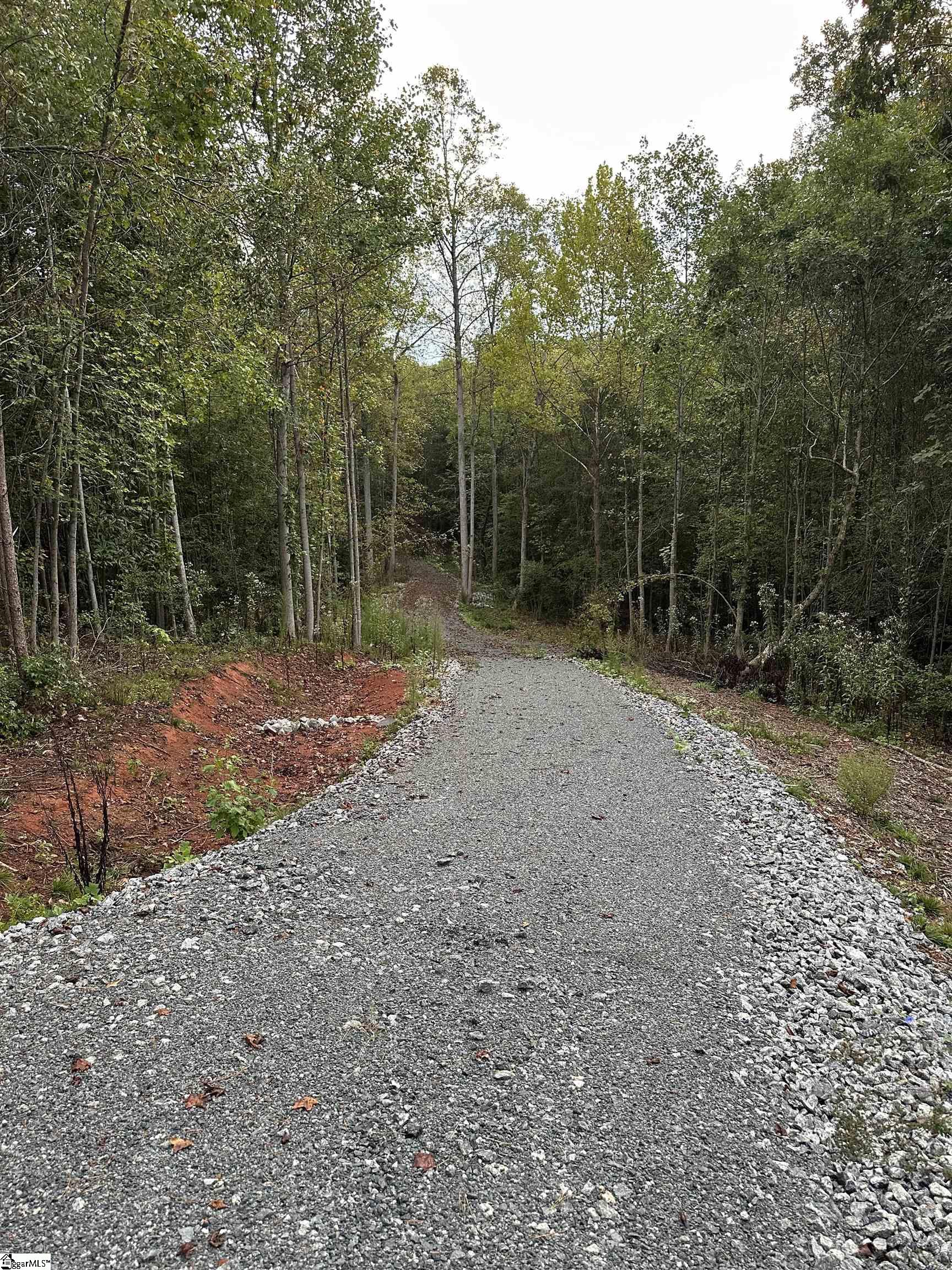 Old Dunham Bridge Road Greenville, SC 29611 - Photo 3 of 12