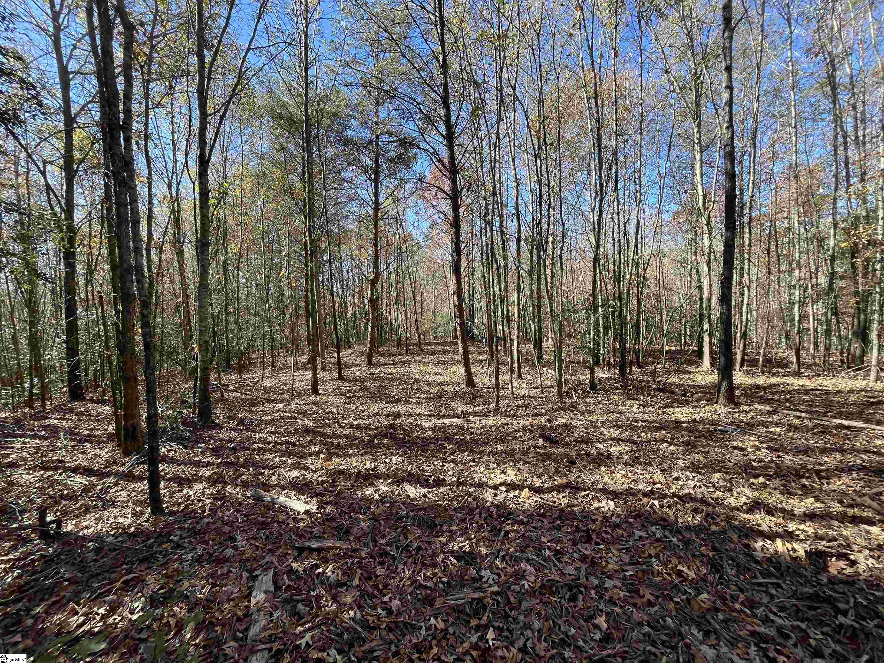 Old Dunham Bridge Road Greenville, SC 29611 - Photo 4 of 12