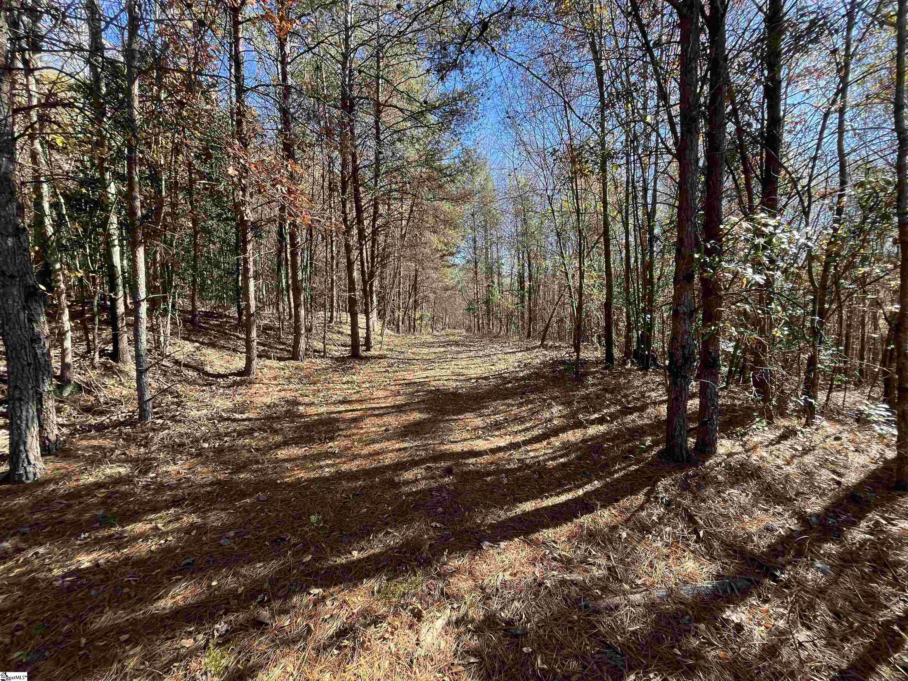 Old Dunham Bridge Road Greenville, SC 29611 - Photo 5 of 12