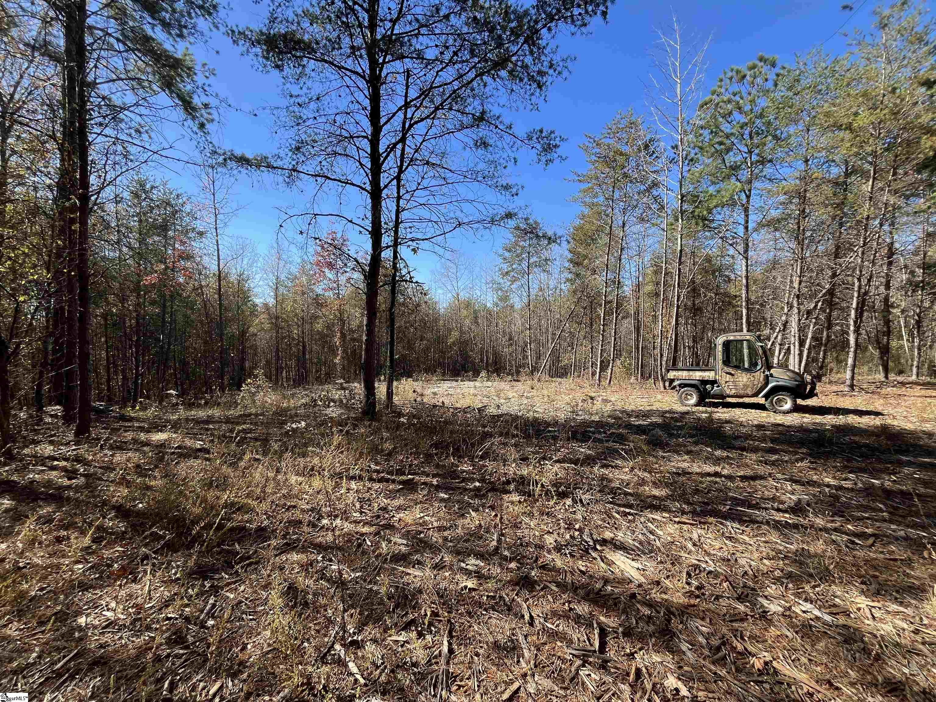 Old Dunham Bridge Road Greenville, SC 29611 - Photo 6 of 12