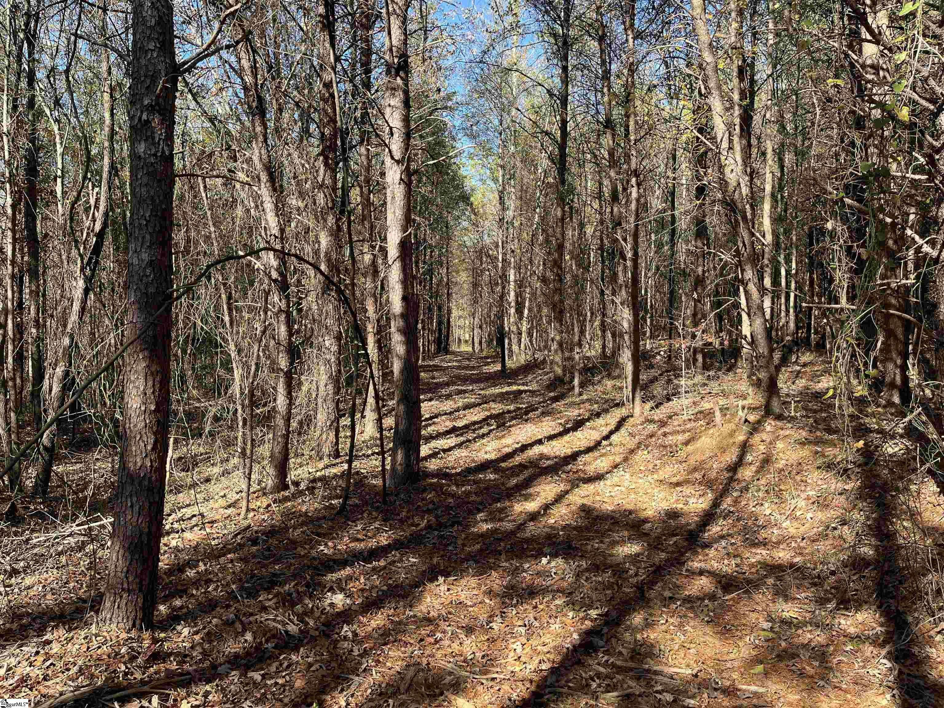 Old Dunham Bridge Road Greenville, SC 29611 - Photo 7 of 12