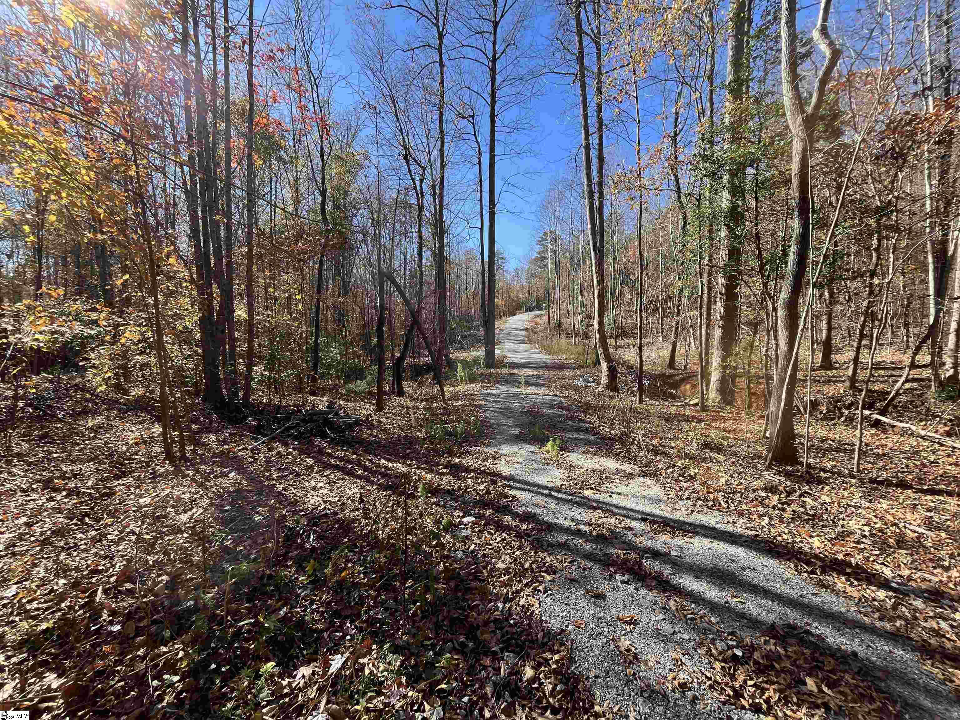 Old Dunham Bridge Road Greenville, SC 29611 - Photo 9 of 12