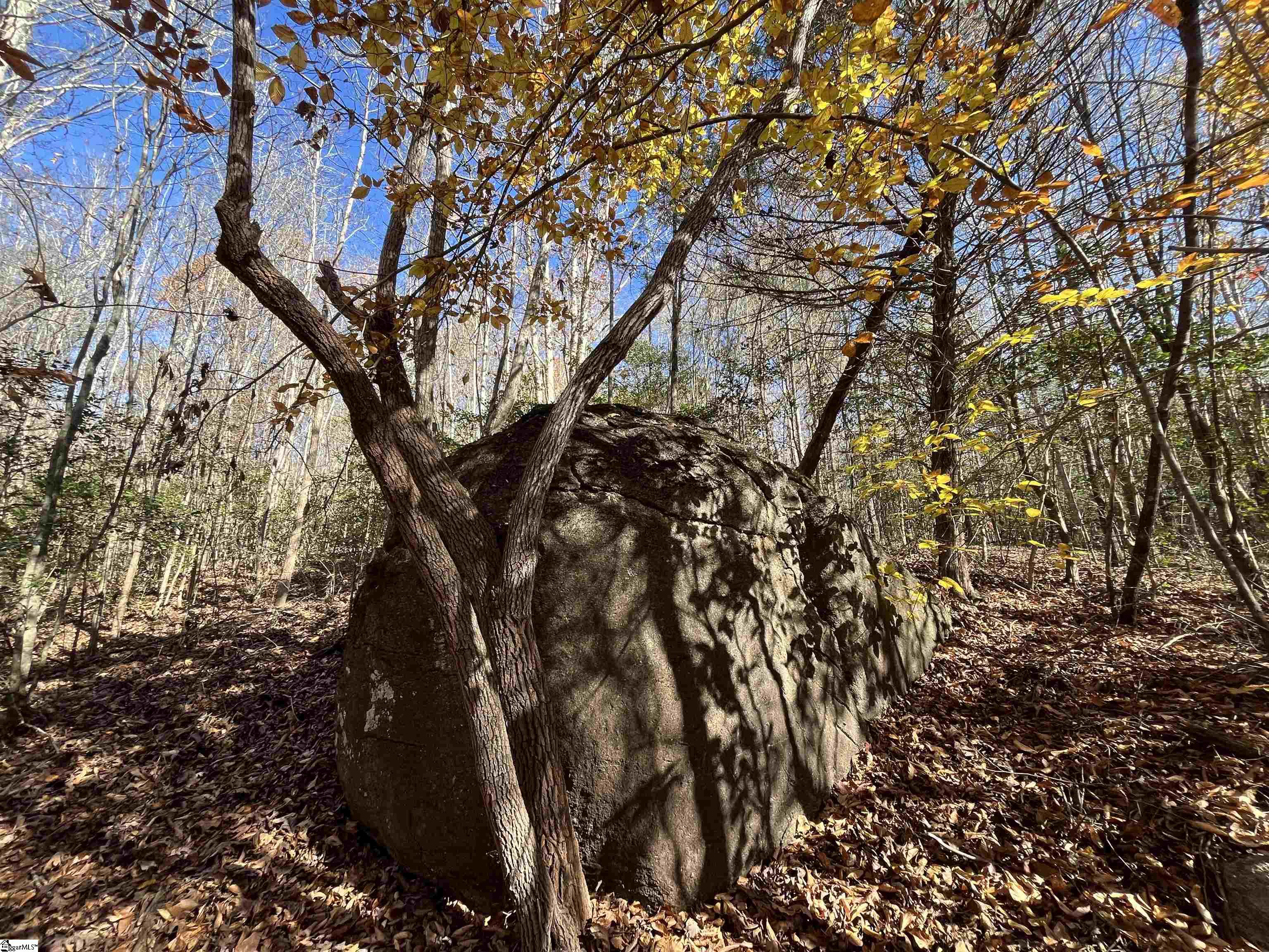 Old Dunham Bridge Road Greenville, SC 29611 - Photo 10 of 12