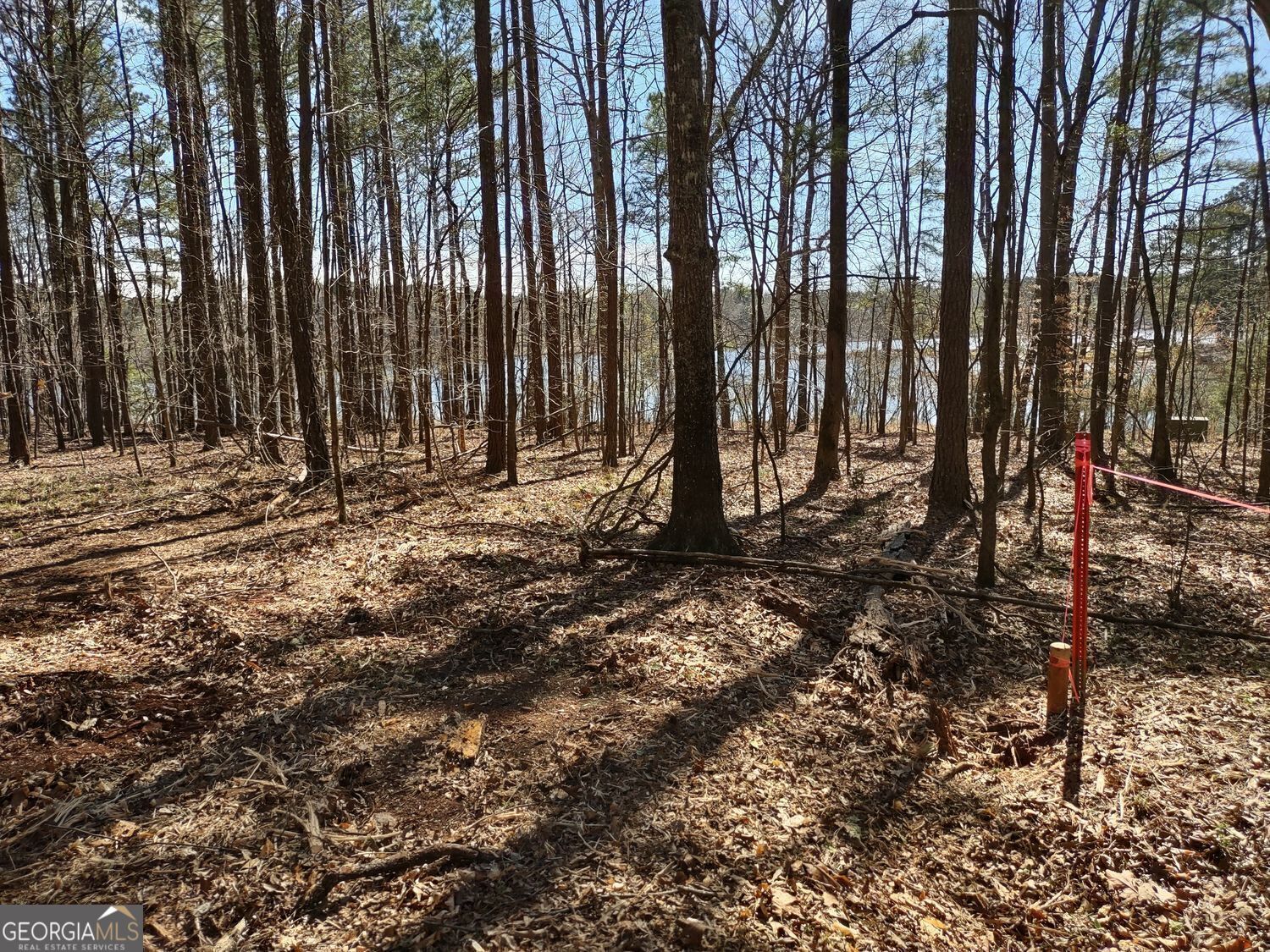 12371 Panhandle Road, Unit LOT 3 Hampton, GA 30228 - Photo 27 of 41 a view of a backyard with large trees and wooden fence
