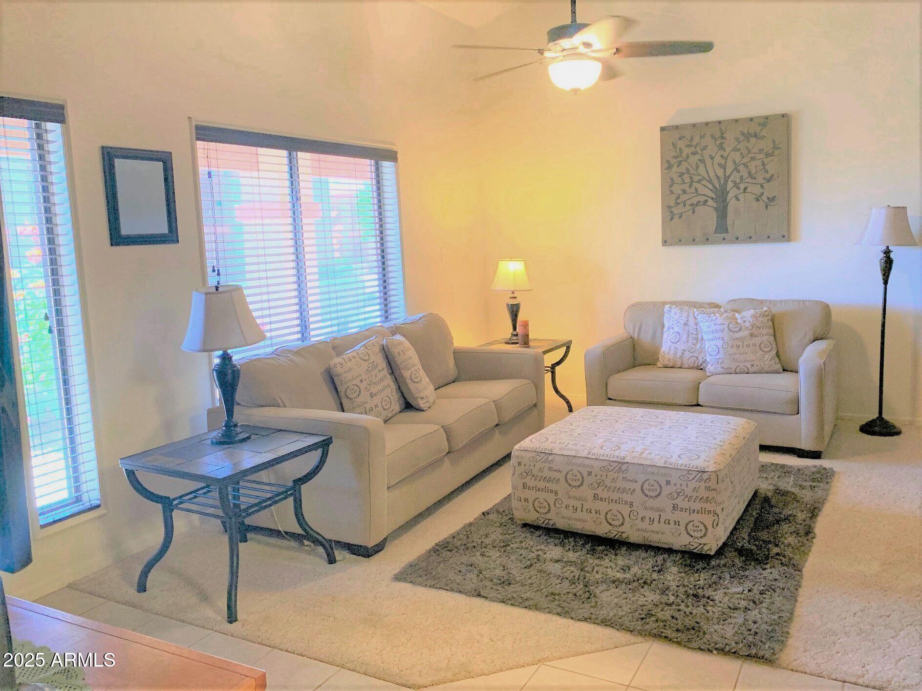 1440 North Idaho Road, Unit 1019 Apache Junction, AZ 85119 - Photo 3 of 14 a living room with furniture and a potted plant