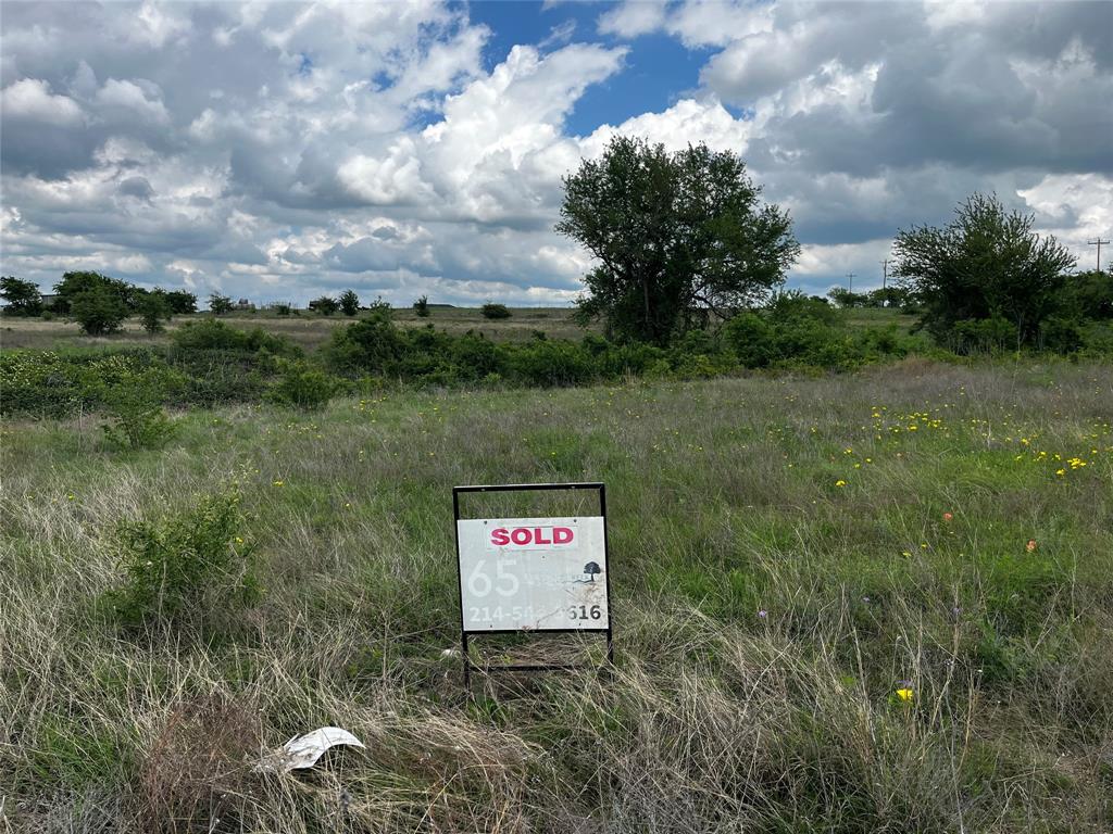Lot 65 Longview Creek Ranch Trail Itasca, TX 76055 - Photo 7 of 9 a view of a sign board in a yard