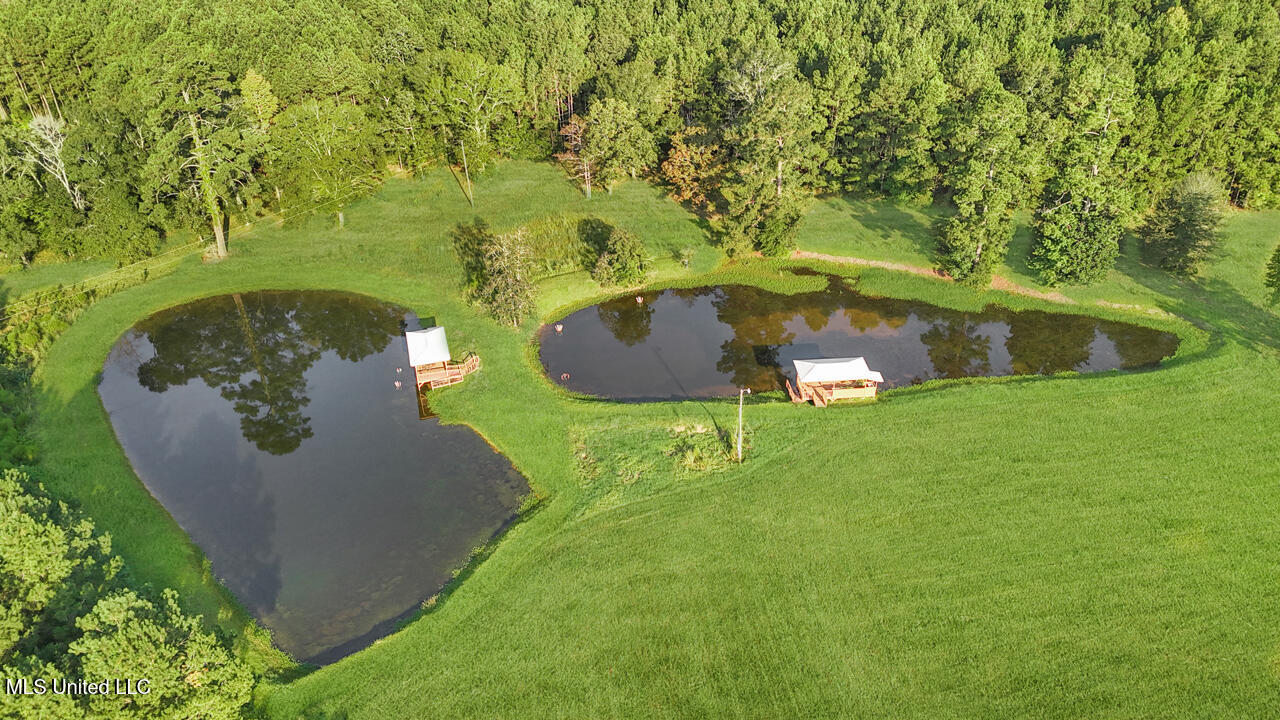 2053 Osyka Progress Road Osyka, MS 39657 - Photo 28 of 49 RG - Drone 2 ponds