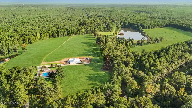 $2,250,000 | 2053 Osyka Progress Road, Osyka, MS 39657
