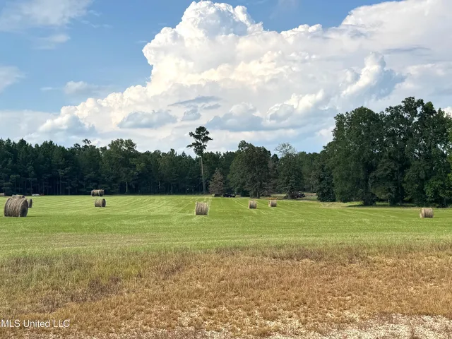 $2,250,000 | 2053 Osyka Progress Road, Osyka, MS 39657