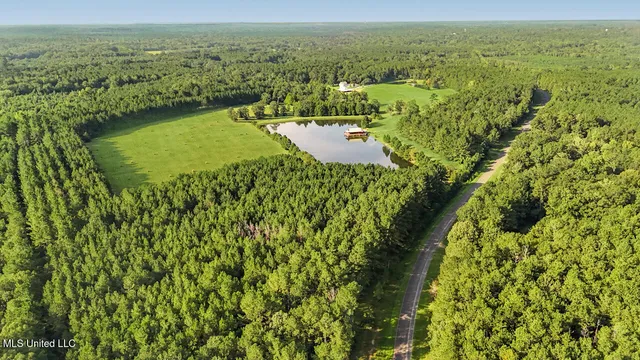 $2,250,000 | 2053 Osyka Progress Road, Osyka, MS 39657