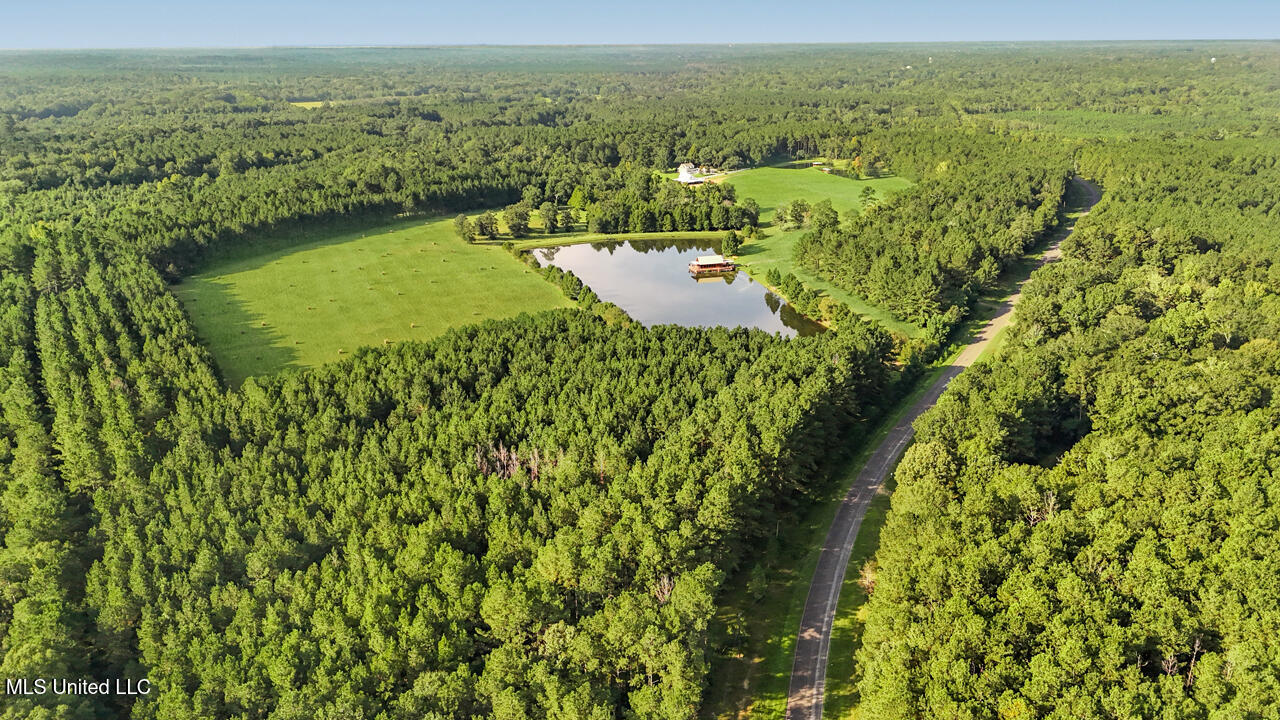 2053 Osyka Progress Road Osyka, MS 39657 - Photo 47 of 49 RG - Drone from north along Pike 93
