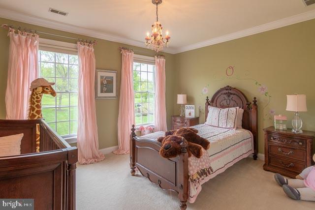 14 Todd Ridge Road Titusville, NJ 08560 - Photo 28 of 51 Bedroom #4