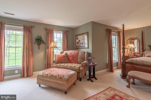 14 Todd Ridge Road Titusville, NJ 08560 - Photo 32 of 51 Master Bedroom sitting area