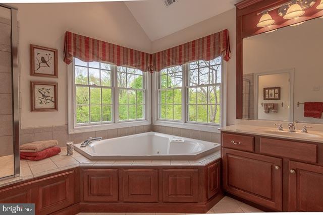 14 Todd Ridge Road Titusville, NJ 08560 - Photo 35 of 51 Master Jacuzzi tub