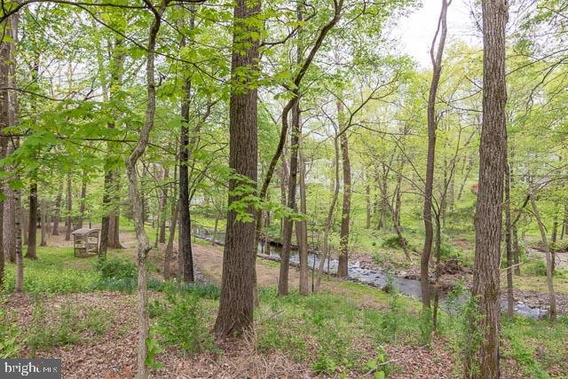 14 Todd Ridge Road Titusville, NJ 08560 - Photo 50 of 51 Gallery Image 50