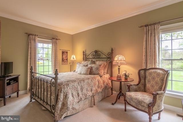 14 Todd Ridge Road Titusville, NJ 08560 - Photo 9 of 51 First floor guest suite