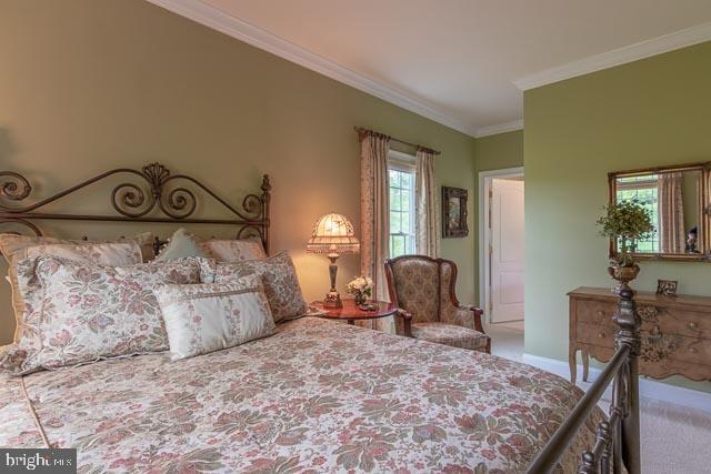 14 Todd Ridge Road Titusville, NJ 08560 - Photo 10 of 51 Gallery Image 10