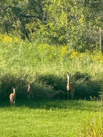 $360,000 | E8946 State Road 22, Bear Creek, WI 54922