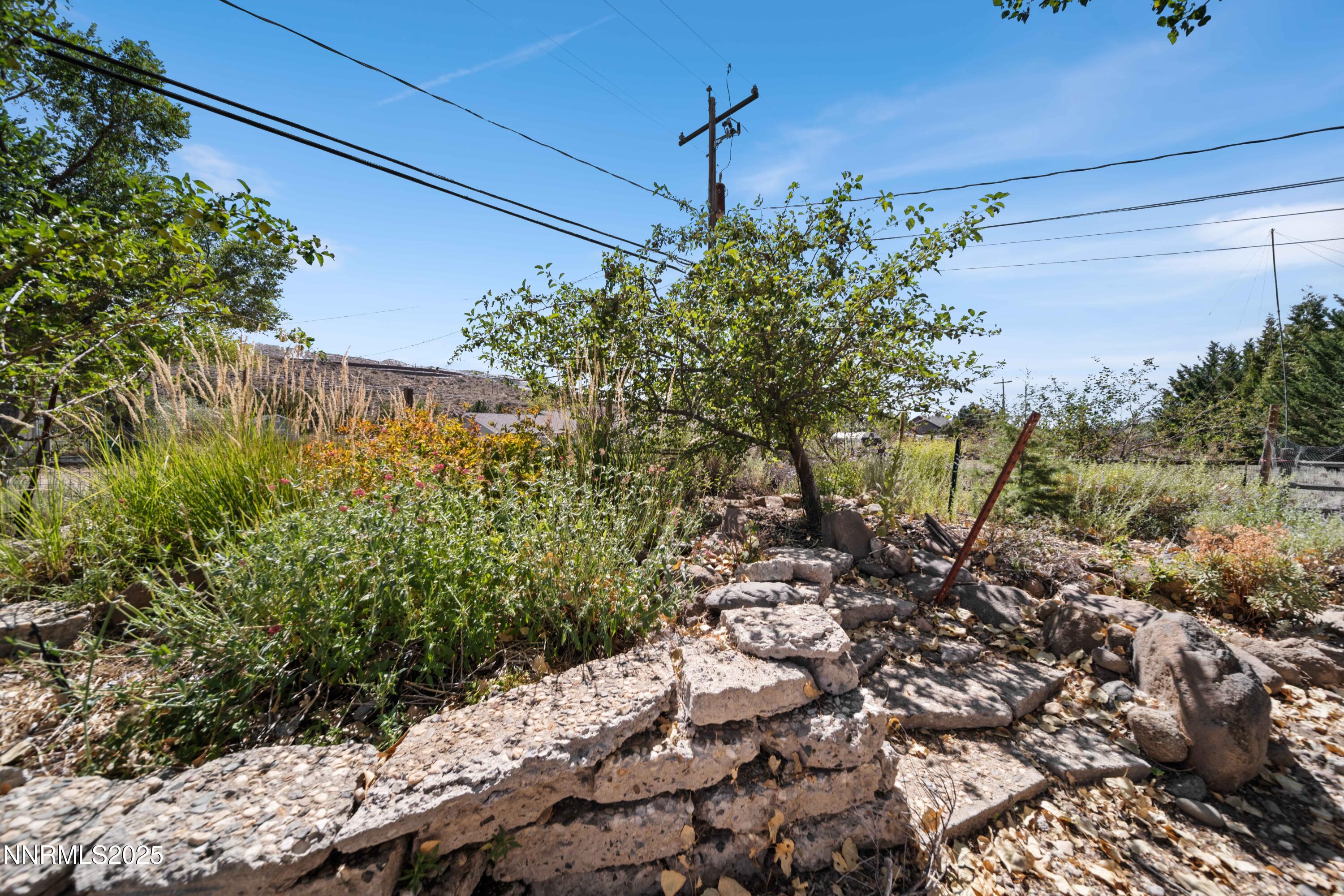 15420 Cherrywood Drive Reno, NV 89511 - Photo 68 of 86 DSC08841