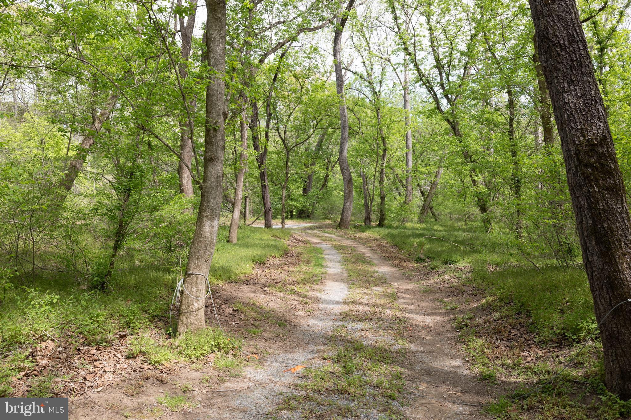 789 Mill Run Road Shenandoah, VA 22849 - Photo 45 of 76 a view of outdoor space and trees