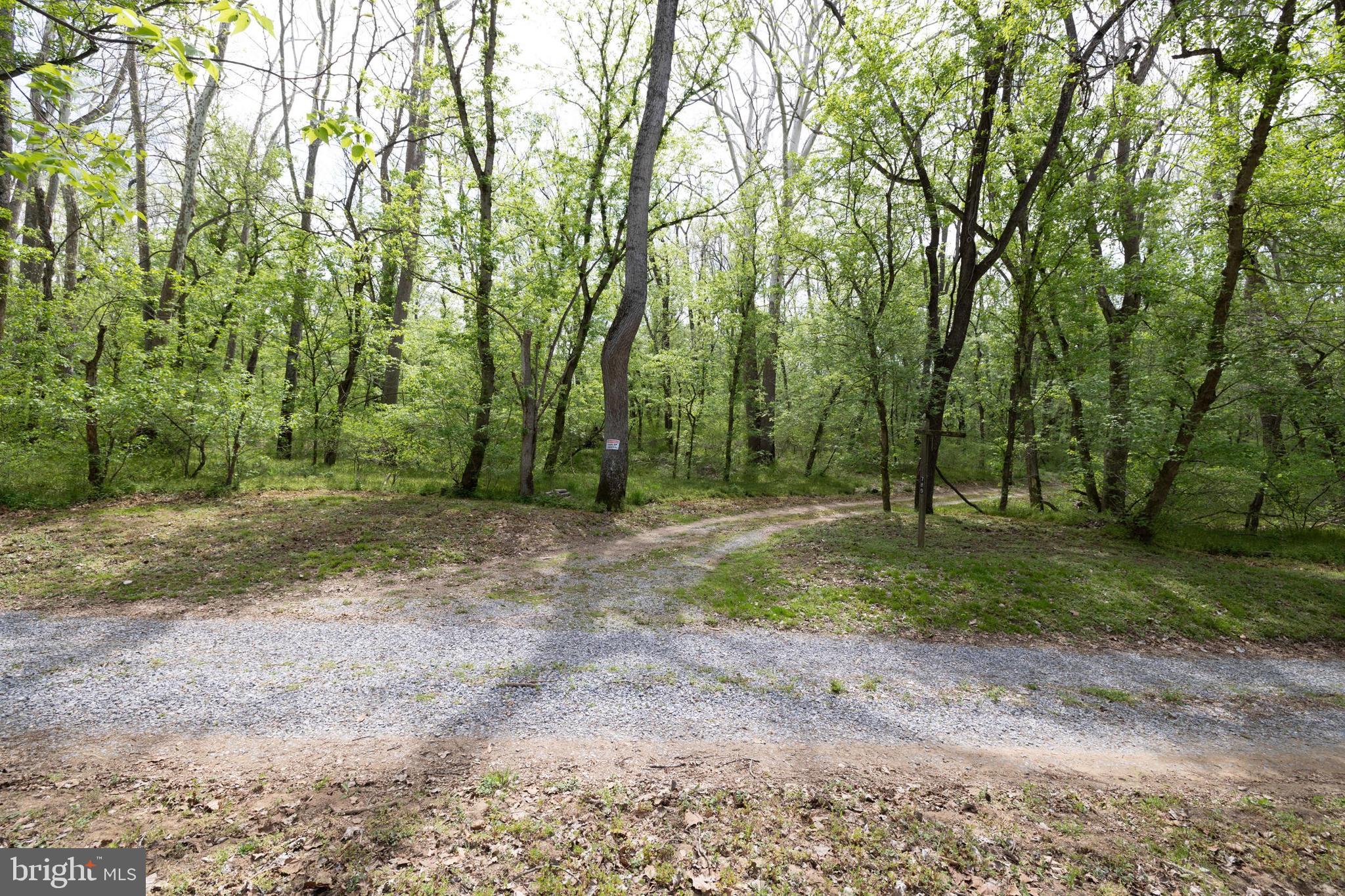 789 Mill Run Road Shenandoah, VA 22849 - Photo 47 of 76