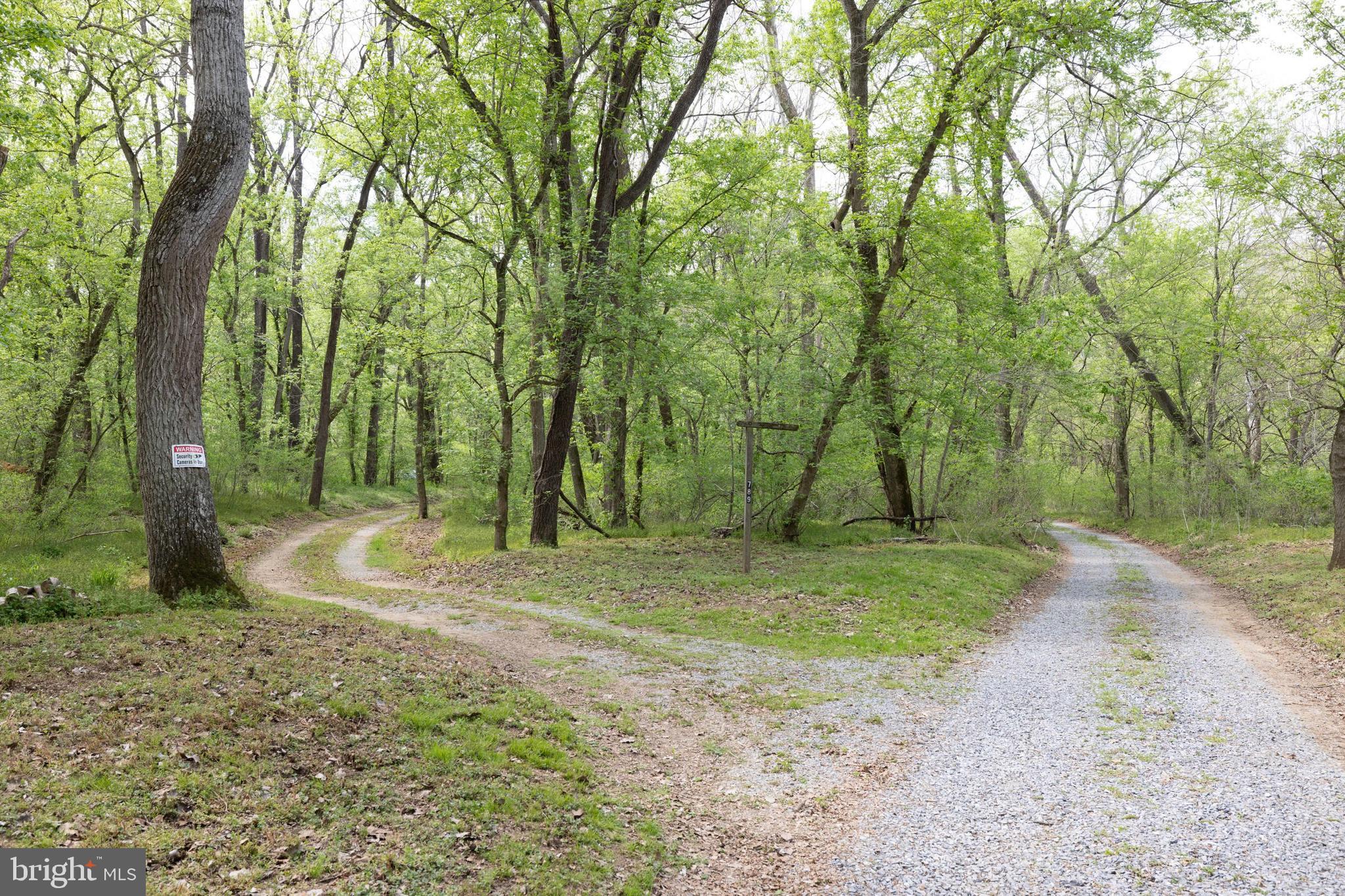789 Mill Run Road Shenandoah, VA 22849 - Photo 48 of 76 a view of a park with large trees