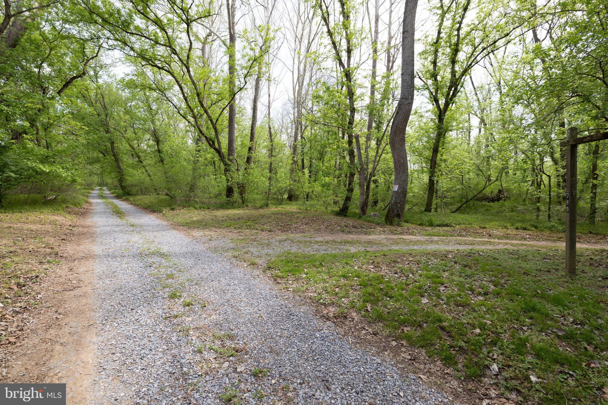 789 Mill Run Road Shenandoah, VA 22849 - Photo 49 of 76 a view of outdoor space with trees