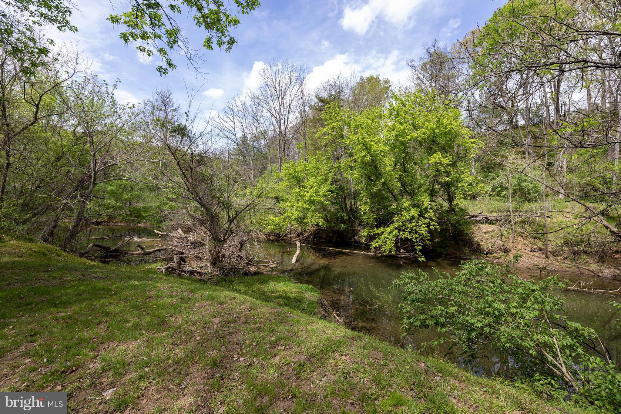 789 Mill Run Road Shenandoah, VA 22849 - Photo 50 of 76 a view of outdoor space and yard