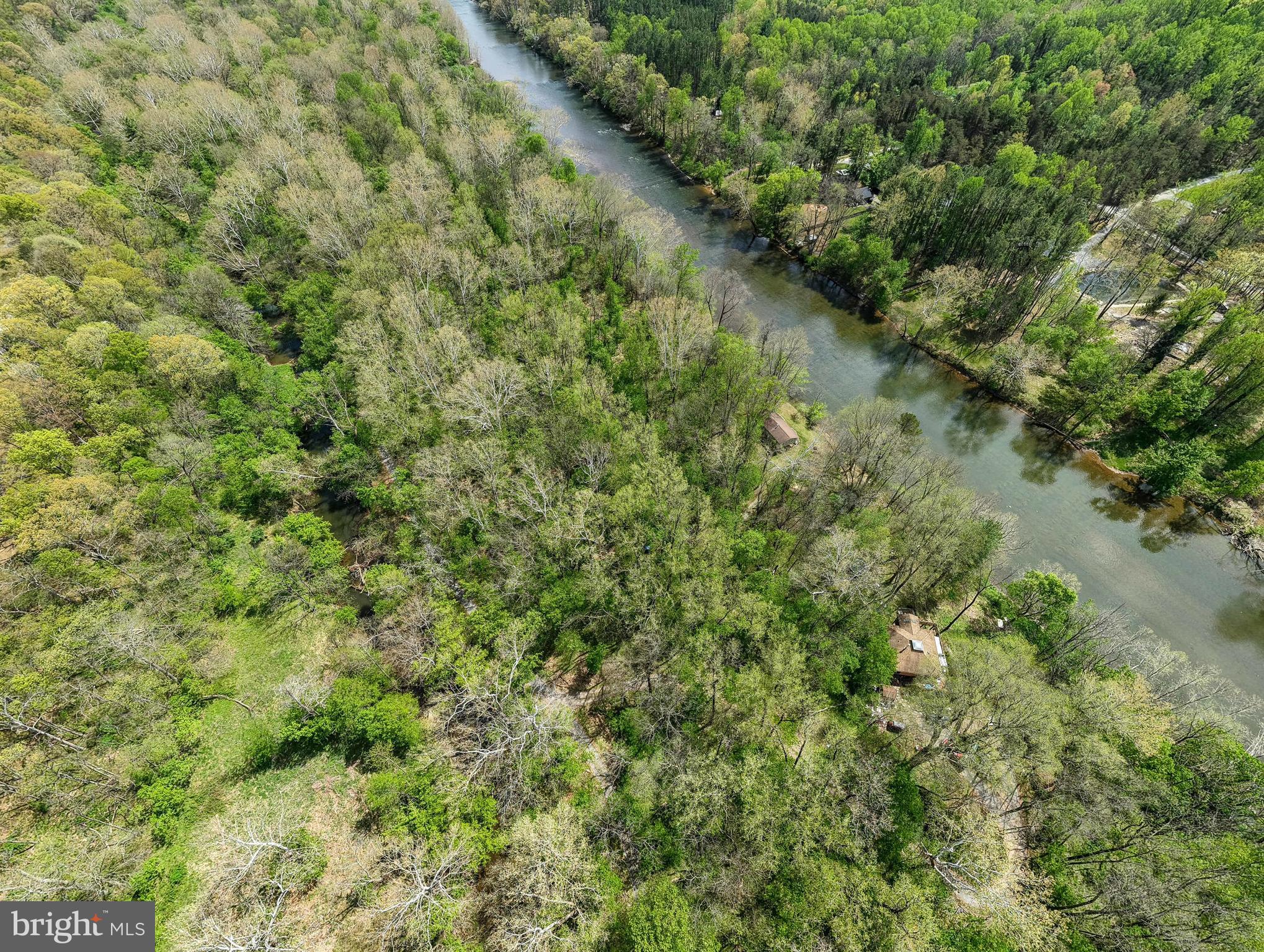 789 Mill Run Road Shenandoah, VA 22849 - Photo 68 of 76 a view of a forest with a tree
