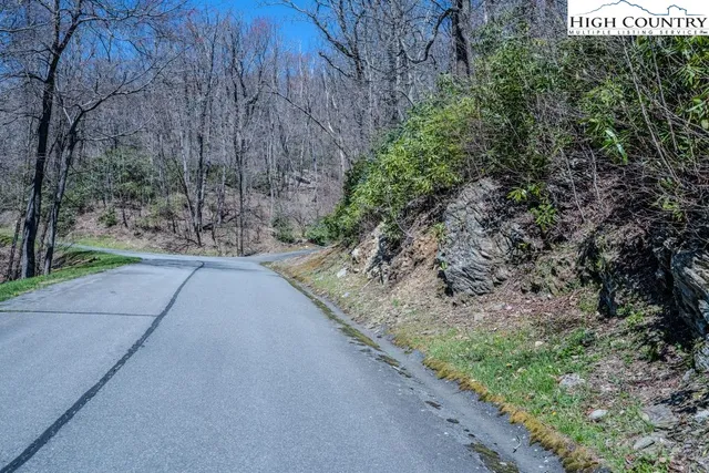a view of a yard with plants