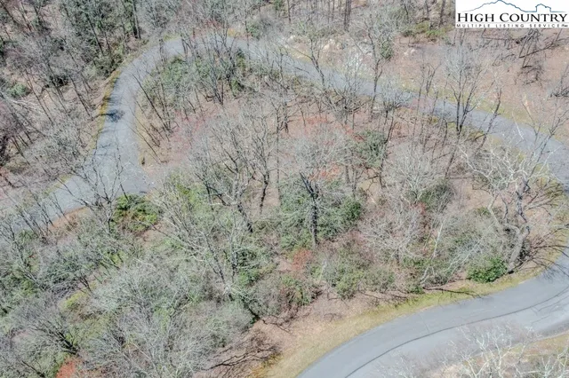 a view of a dry yard with trees