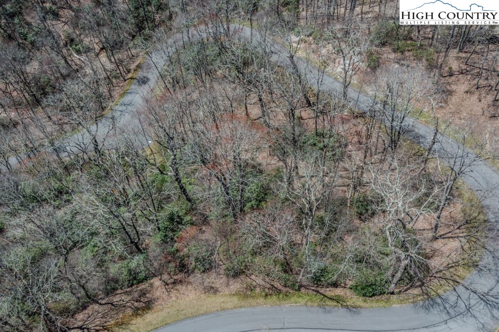 Lot 1 Tanawha Parkway Boone, NC 28607 - Photo 23 of 33 a view of a forest with large trees