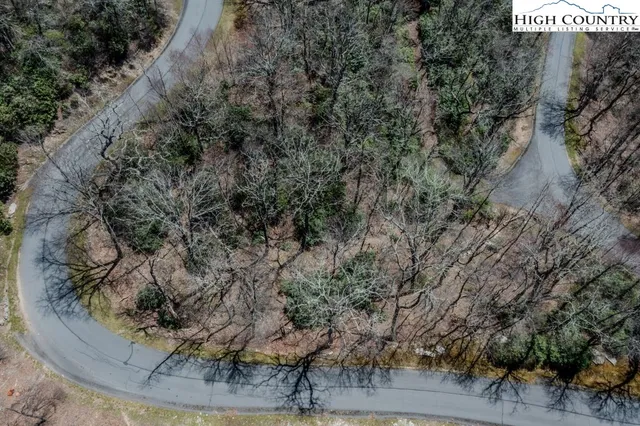 a view of a dry yard with large trees