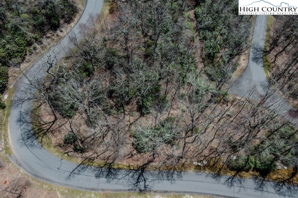 Lot 1 Tanawha Parkway Boone, NC 28607 - Photo 25 of 33 a view of a dry yard with large trees