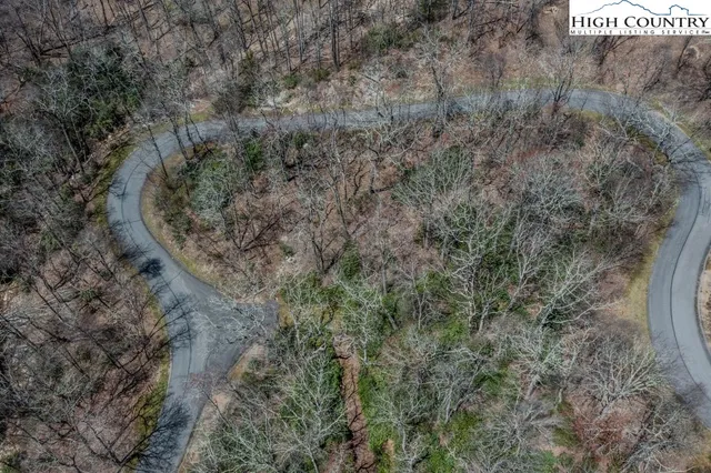 a view of a dry yard with trees all around
